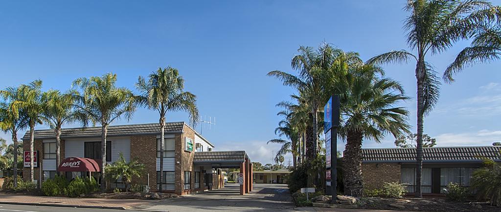 Citrus Valley Motel Renmark Zewnętrze zdjęcie