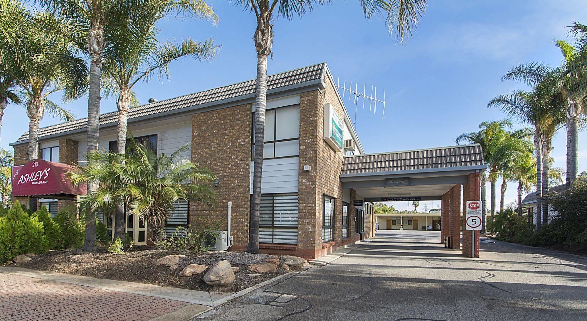 Citrus Valley Motel Renmark Zewnętrze zdjęcie