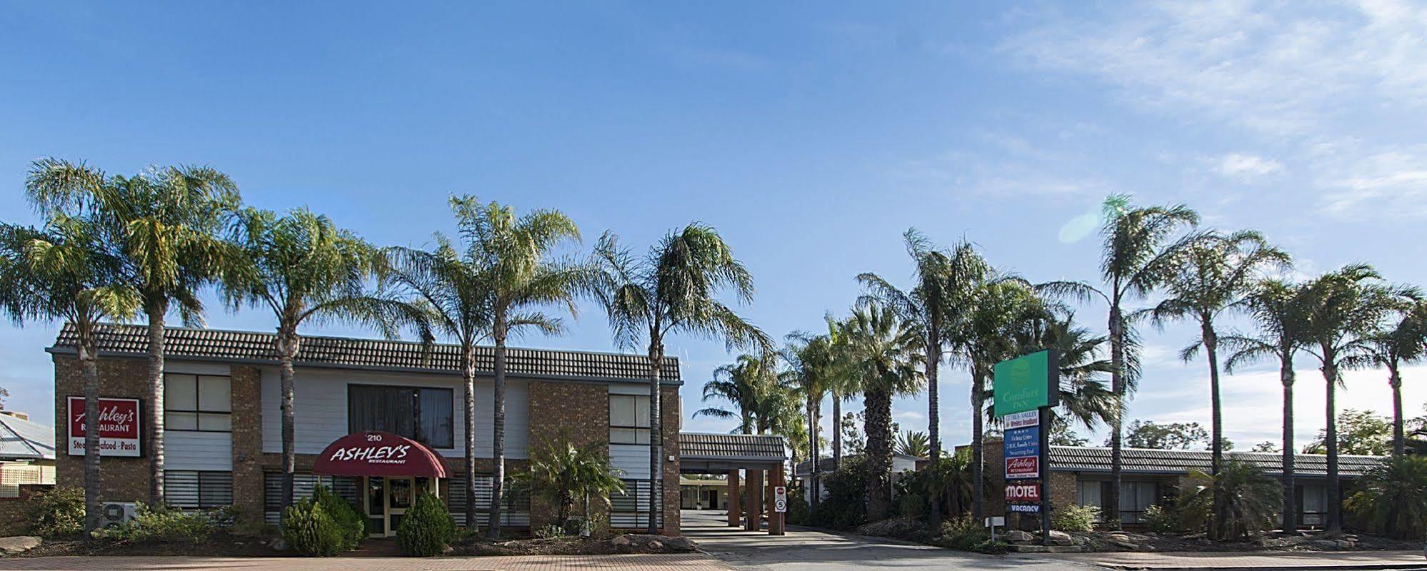 Citrus Valley Motel Renmark Zewnętrze zdjęcie